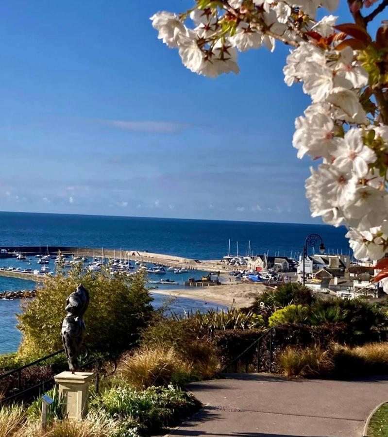 Fantastic Spacious House With Beautiful Panoramic Views Of The Bay Only A Few Minutes Walk From Beach Harbour And Restaurants This House Has 3 Bedrooms 3 Bathrooms And 2 Lovely Sitting Rooms Лайм-Реджис Экстерьер фото